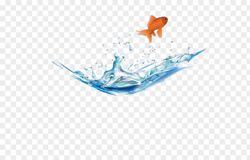 Goldfish And Water Carassius Auratus Aquarium PNG