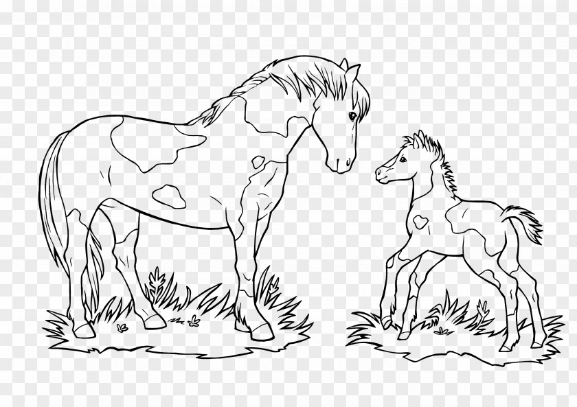 Mustang Foal Ausmalbild Pony Coloring Book PNG