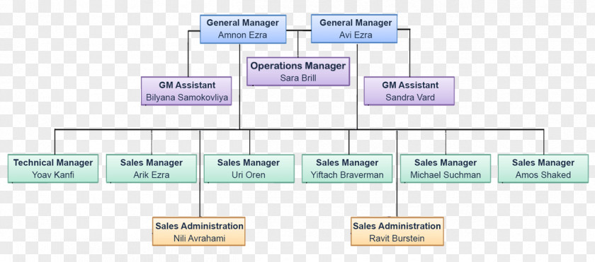 Organization Chart Company Line Angle Diagram PNG