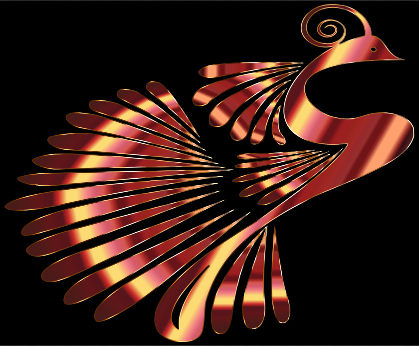 Peacock Color Clip Art PNG