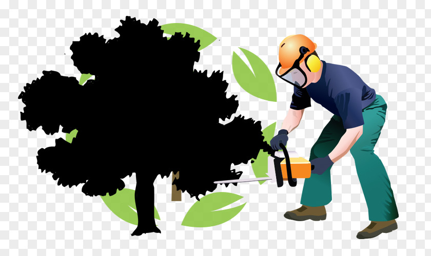 Pruning River Oaks Community Church Tree Clip Art PNG