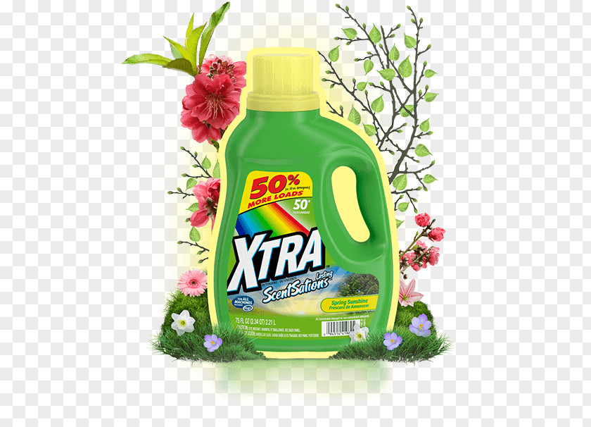 Sentence With The Word Geography Laundry Detergent Xtra Spring Sunshine Liquid PNG