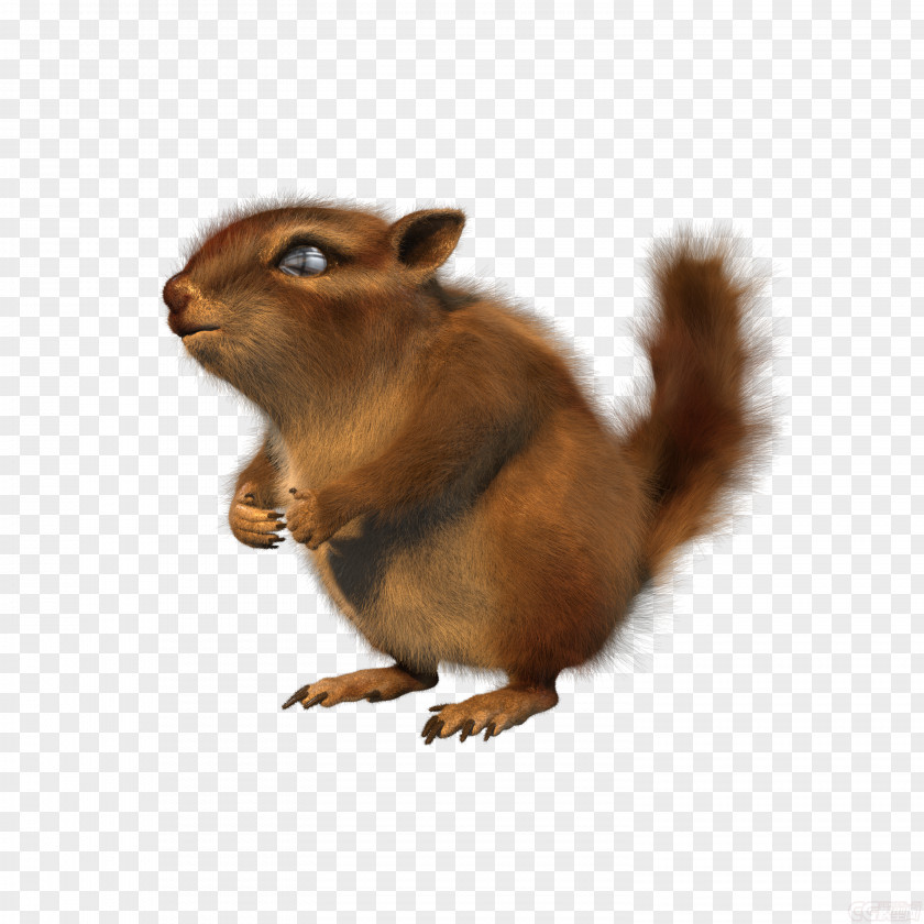 Animator Background Chipmunk Fox Squirrel Animation PNG