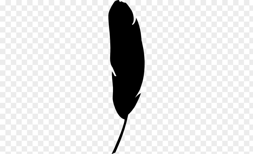 Feather Bird Shape Clip Art PNG