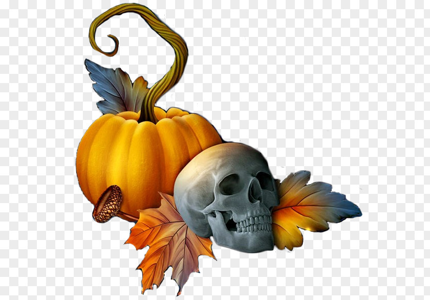 Halloween Jack-o'-lantern Pumpkin Calavera Winter Squash PNG