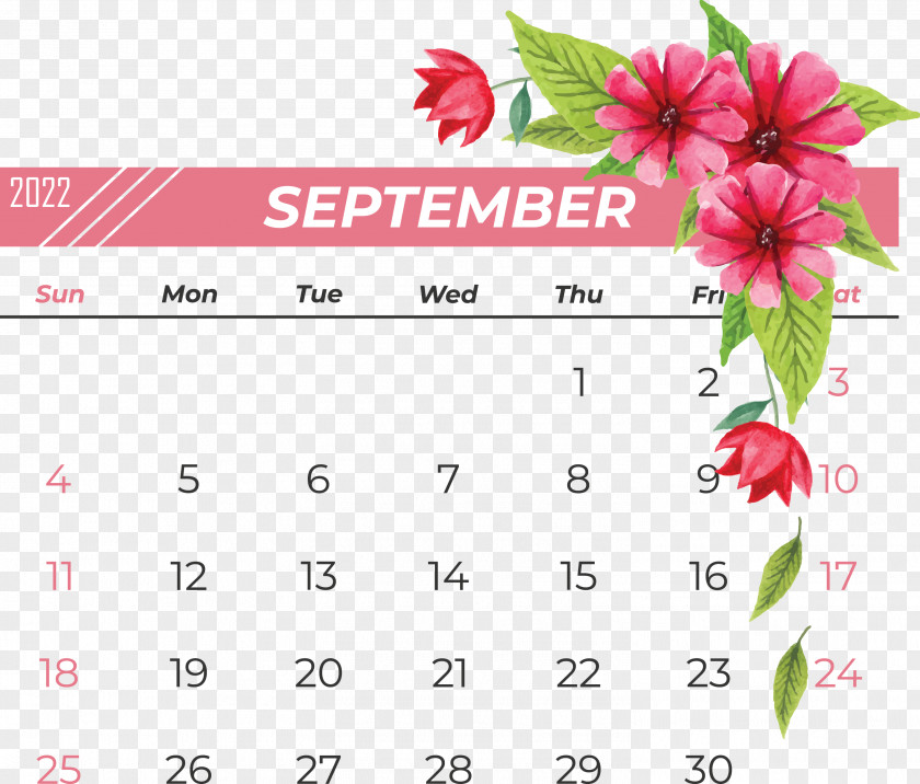 Leaf Calendar Font Petal Meter PNG