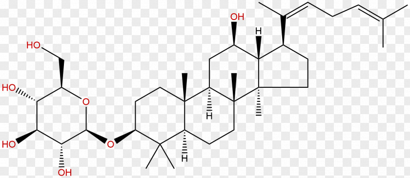 Phytochemicals Ginsenoside Ginseng Triterpene Triterpenoid Saponin PNG