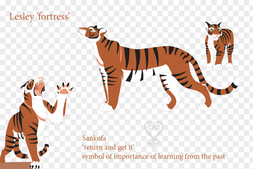 Cat Tiger Horse Illustration Mammal PNG