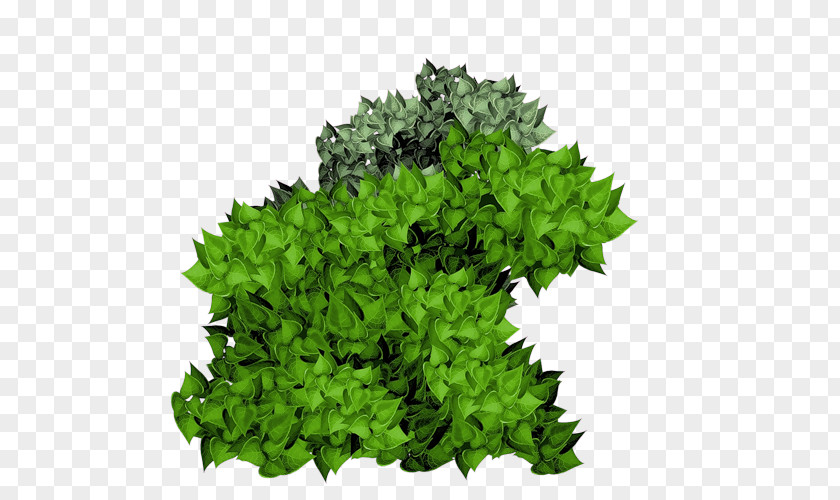 Green Trees Shrub Plant Clip Art PNG
