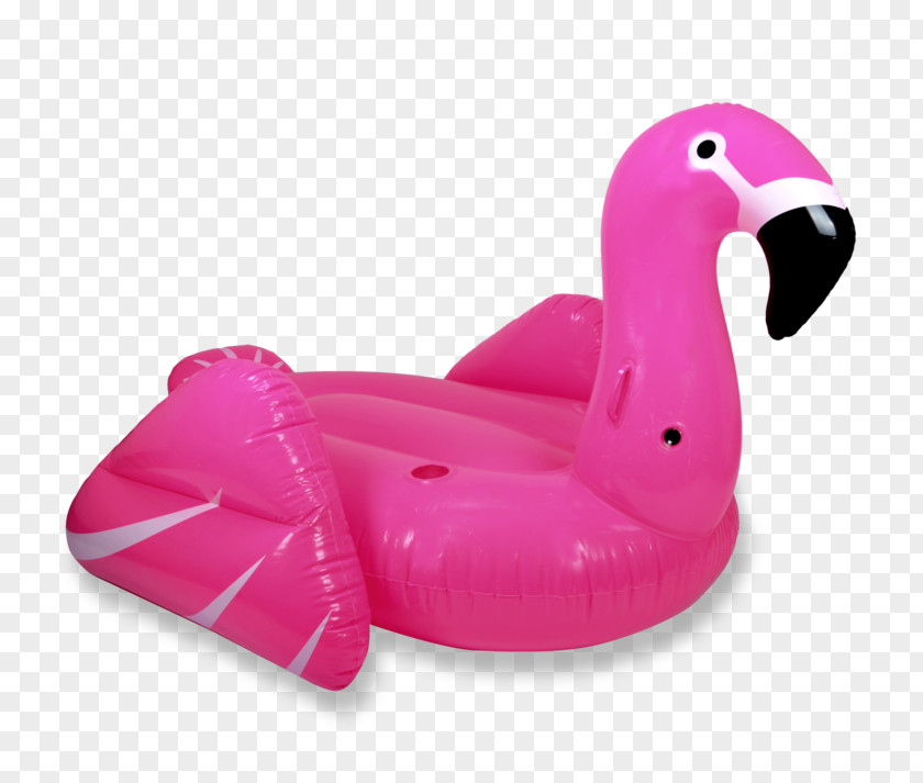 Mimosa Inflatable Armbands Flamingo Swimming Pool Toy PNG