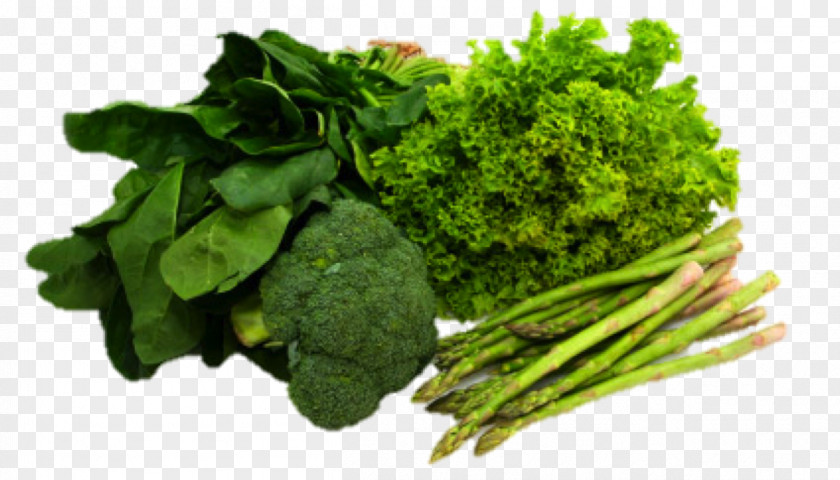 Broccoli Leaf Vegetable Eating Collard Greens Chinese Cabbage PNG