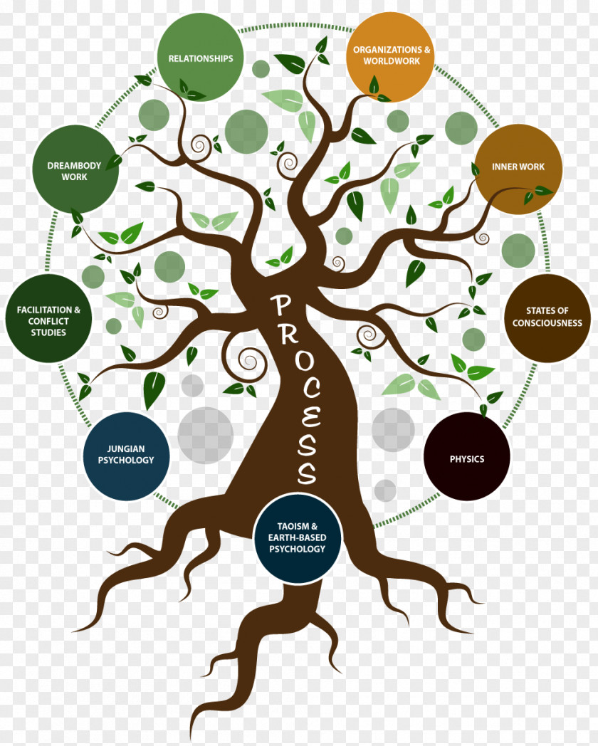 Conflict Process Work Institute Process-oriented Psychology Facilitator Organization PNG