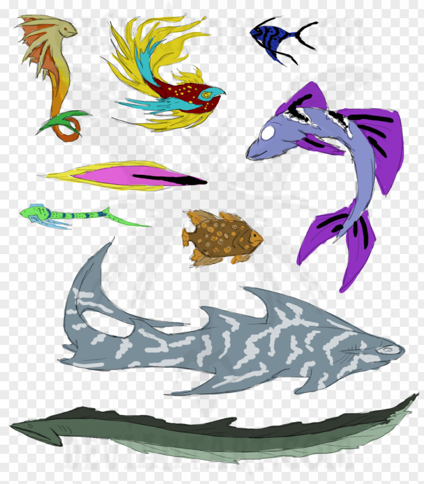 Fish Graphic Design Marine Mammal Clip Art PNG