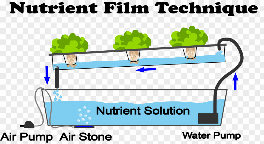 Hydroponic Grow Box Vegetables Nutrient Film Technique Hydroponics Gardening Aquaponics PNG