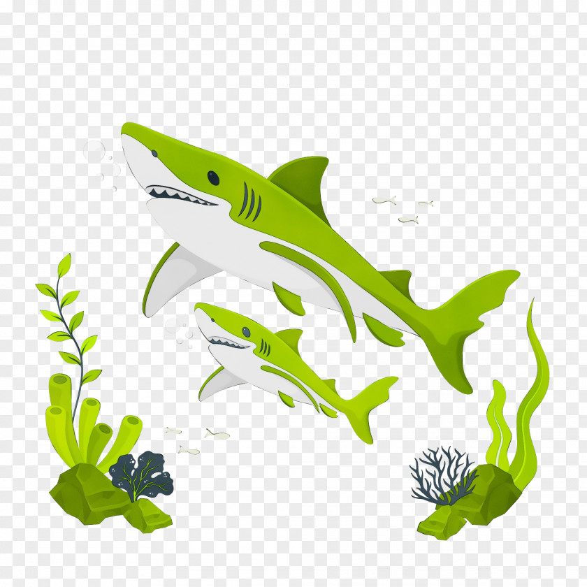 Leaf Fish Green Biology Plants PNG