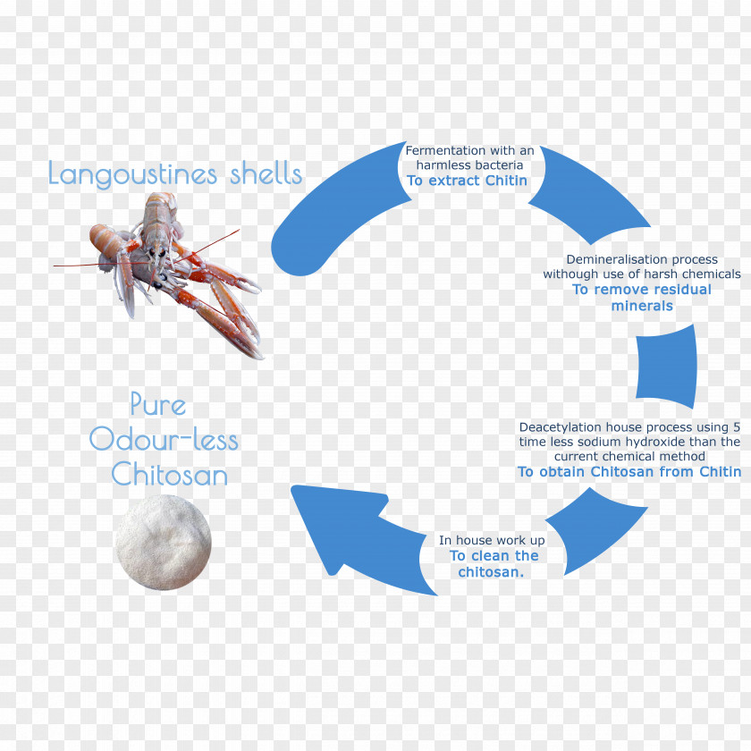 New Process Circular Economy Chitin Chitosan Extraction Product PNG