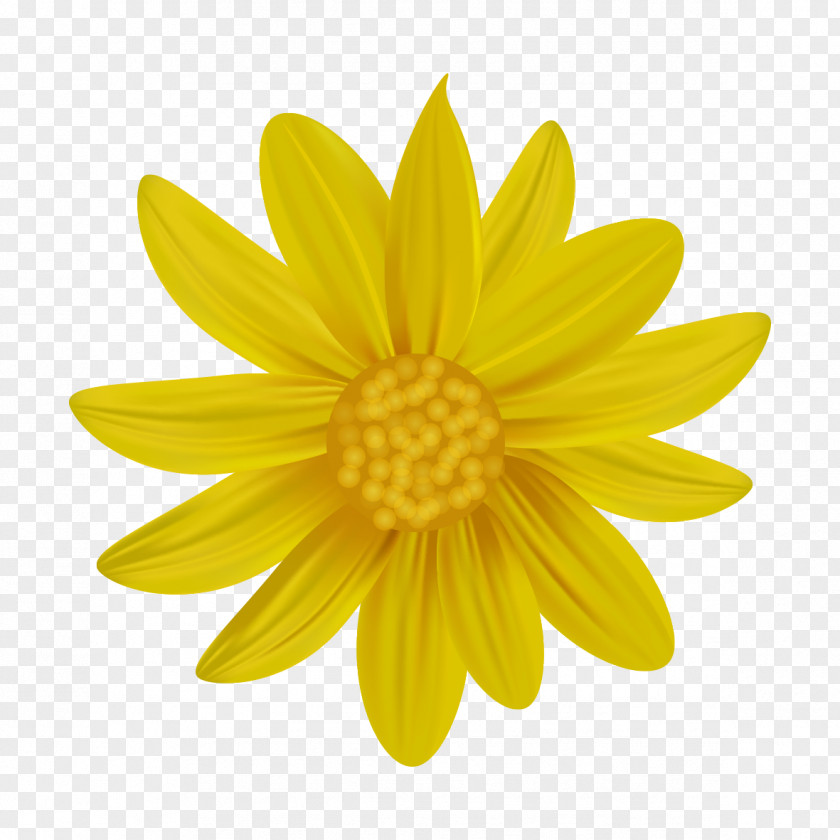 Yellow Daisy Design Logo Royalty-free PNG