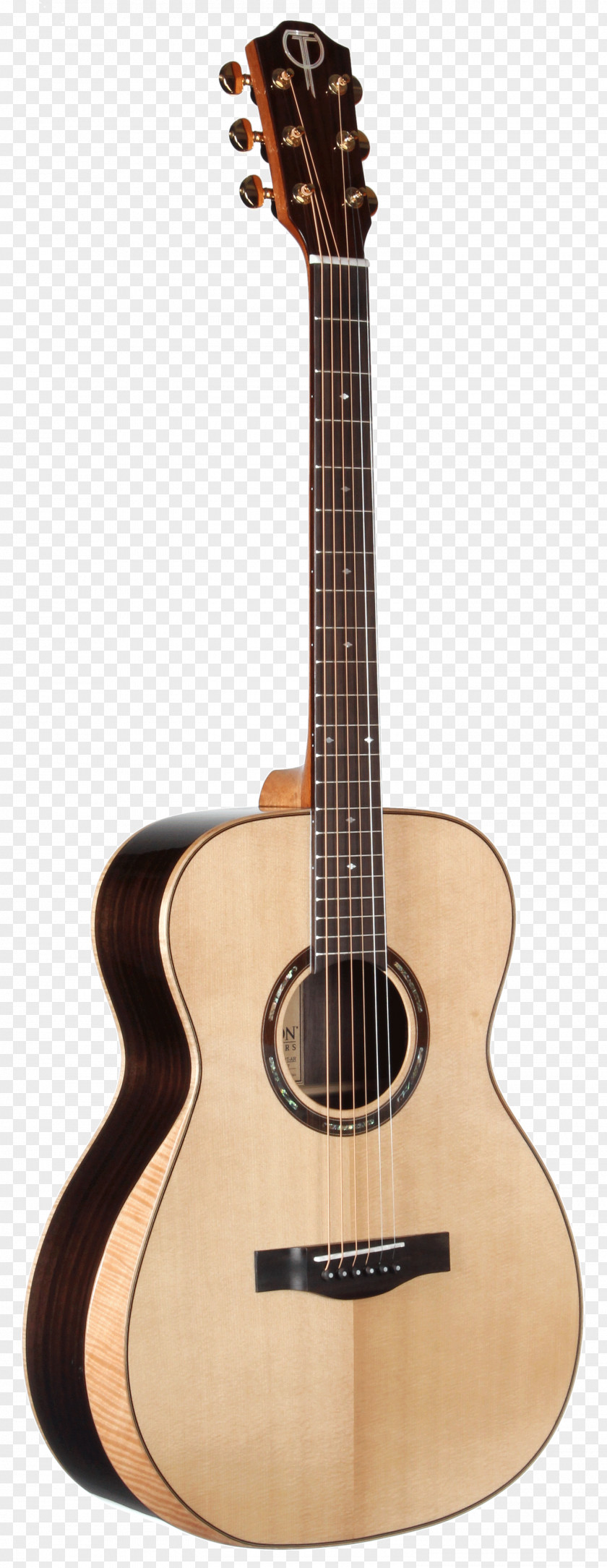 Acoustic Guitar Acoustic-electric Washburn Guitars Dreadnought PNG