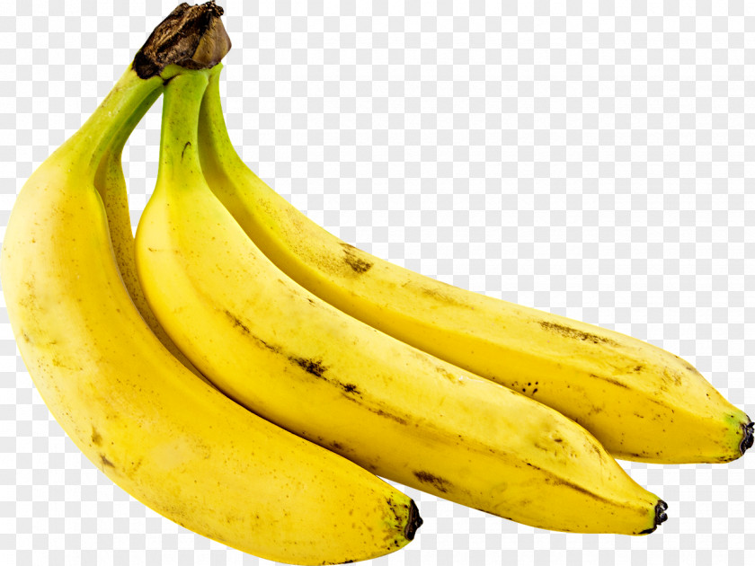 Banana Pudding Download PNG