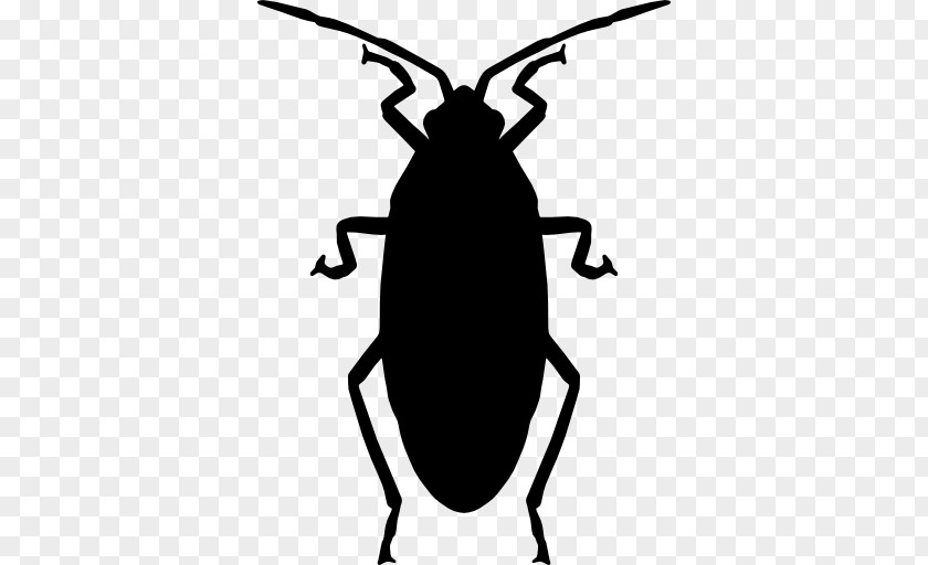 Cockroach Oriental Insect Clip Art PNG