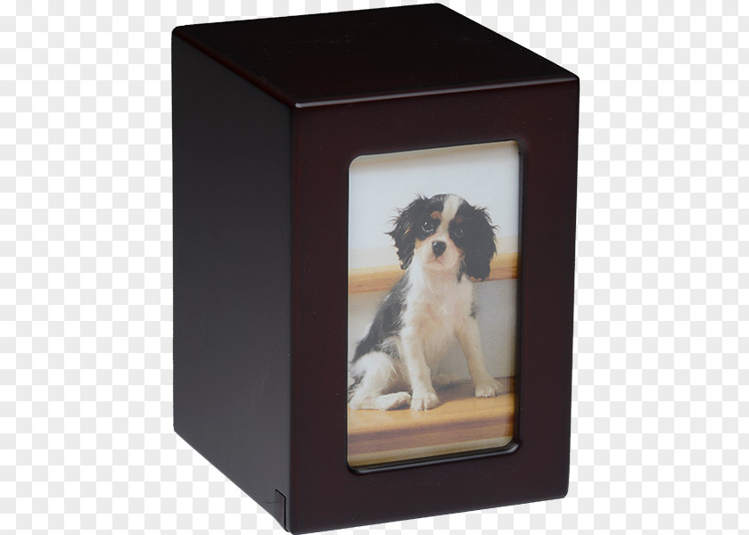 Dog Urn Picture Frames Pet Paw PNG