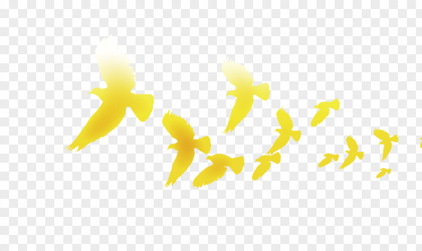 Flying Pigeons Columbidae Graphic Design Yellow Columba PNG
