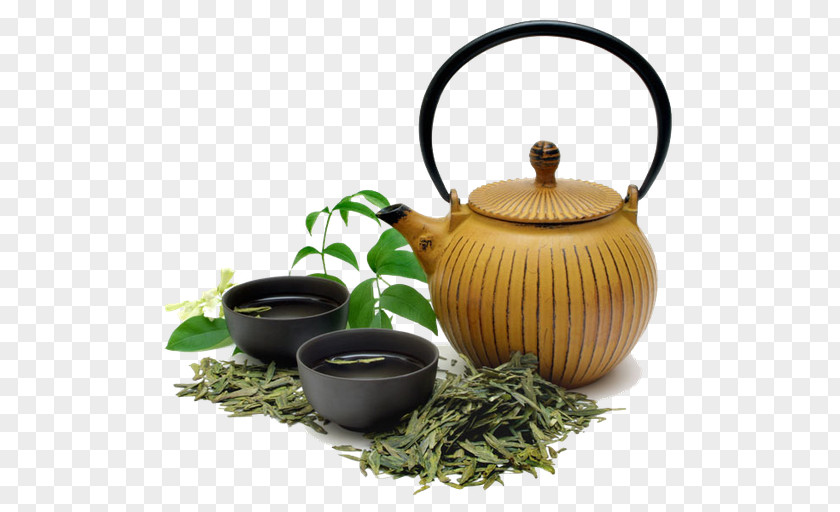 Green Tea Plant Drink Black PNG