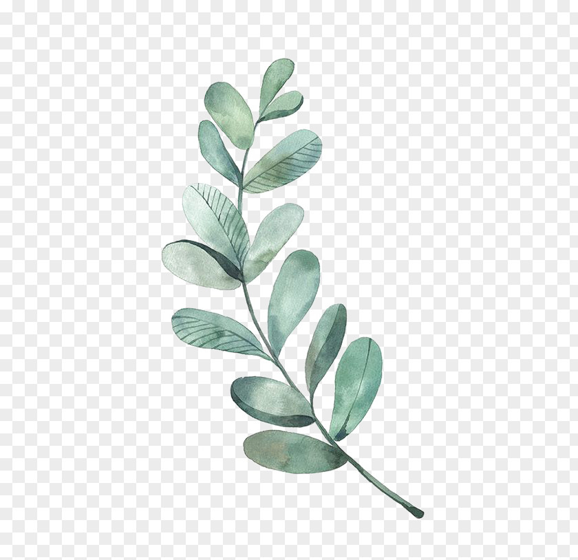 Leaf Drawing Watercolor Painting Illustration PNG painting Illustration, Green Leaves, illustration of green leafed plant clipart PNG