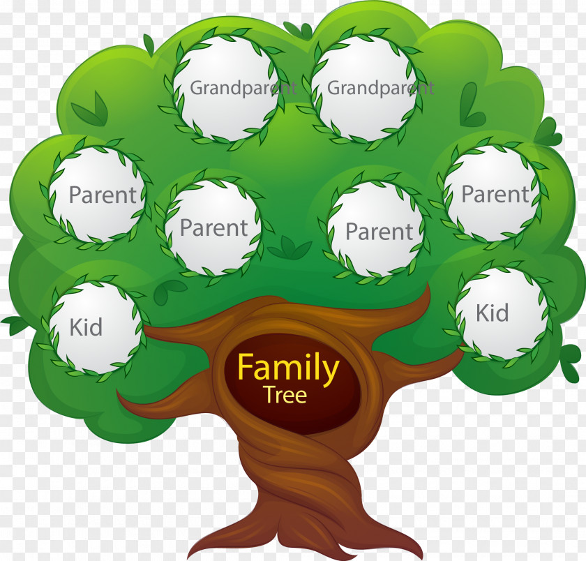 Vector Hand Painted Family Tree Euclidean Generation PNG
