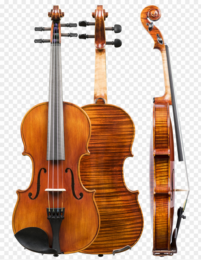 Violin Family Cello Musical Instruments Double Bass PNG