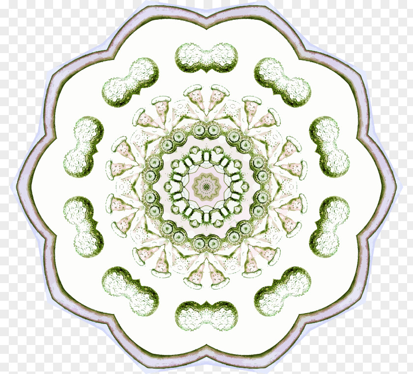 Drawing Symmetrical Rosette Cut Flowers PNG