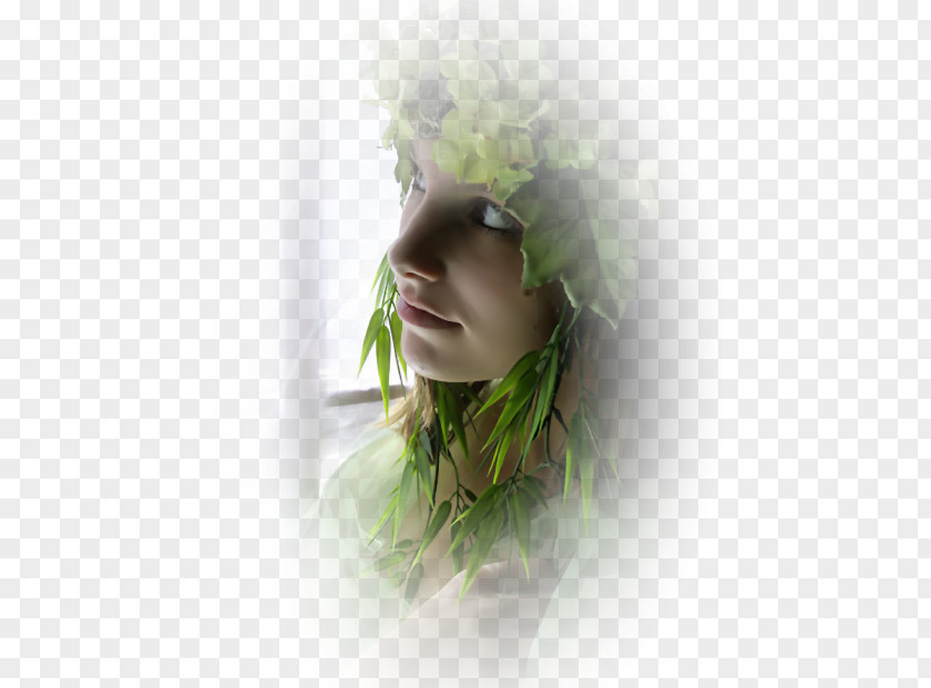 Floral Design LiveInternet Clip Art PNG