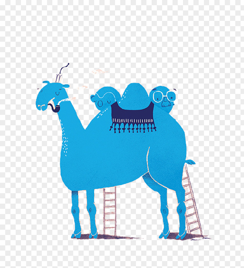Blue Cartoon Camel Het ABC Van Gaston Durnez Desert Illustration PNG