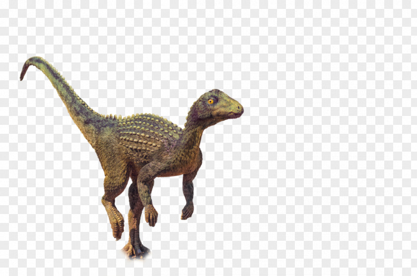 Dino Velociraptor Photography Instagram PNG