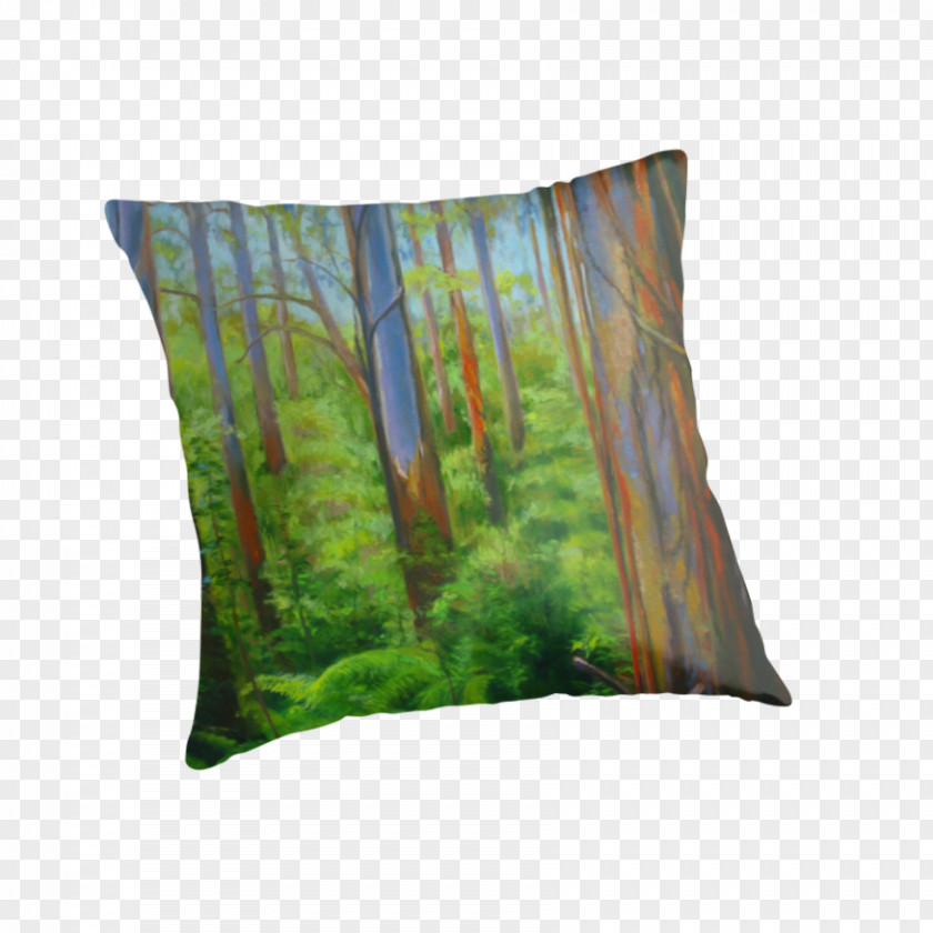 Mountain Ash Throw Pillows Cushion PNG