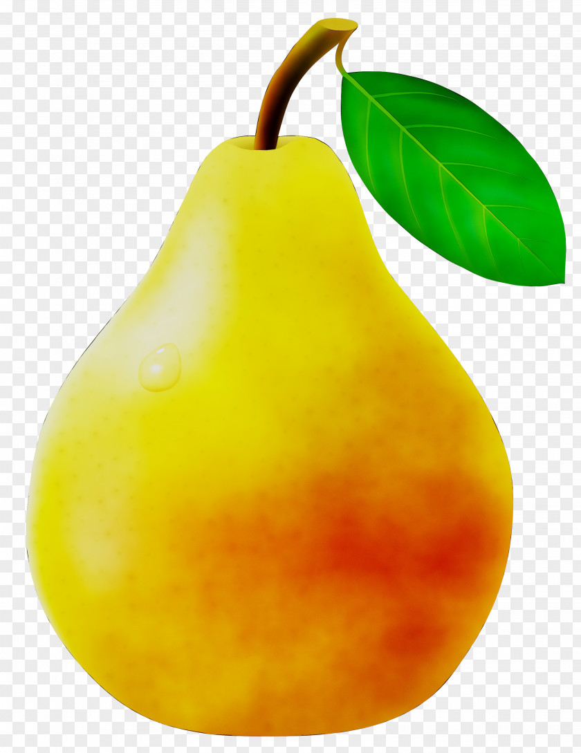 Pear Still Life Photography Natural Foods PNG