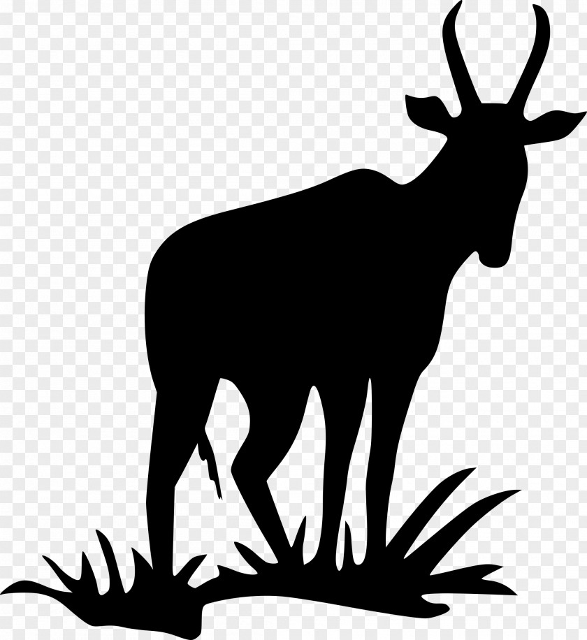 Silhouette Antelope Pronghorn Impala Clip Art PNG