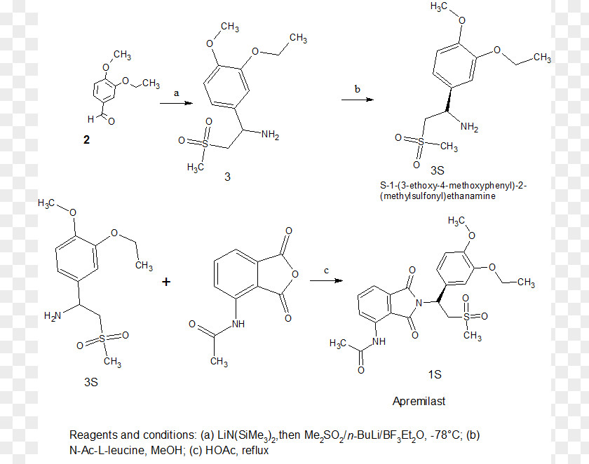Thalidomide Development Of Analogs Apremilast Lenalidomide Chemical Synthesis PNG