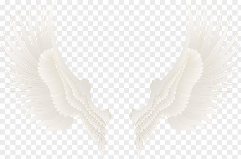 White Wing Neck PNG
