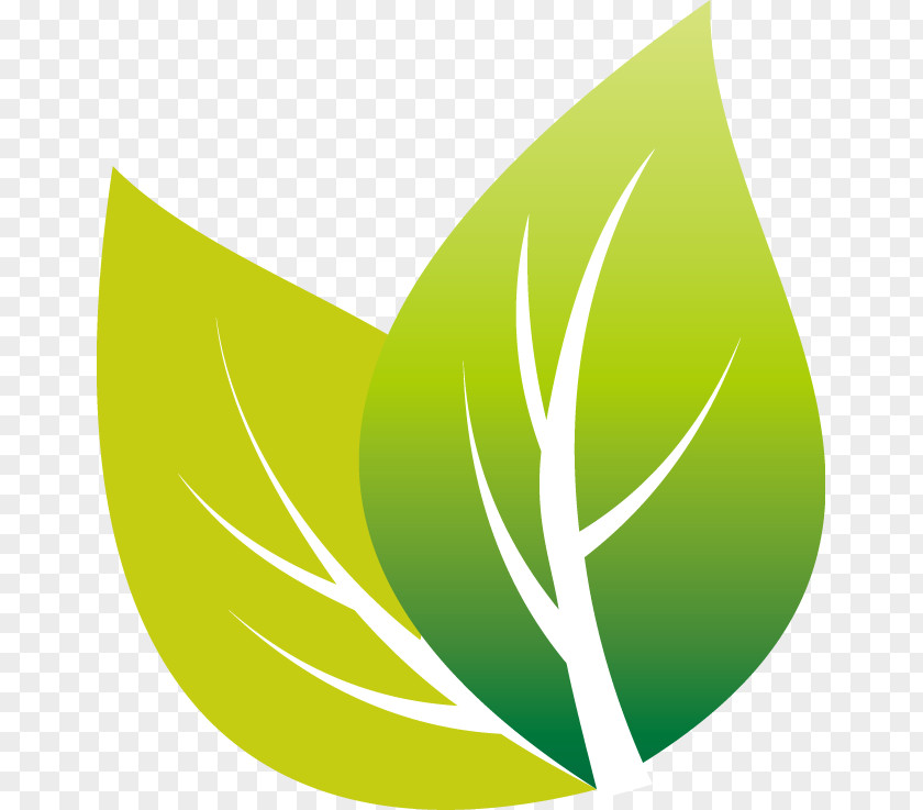 Green Leaves Icon Vector Creative White Tea Android PNG