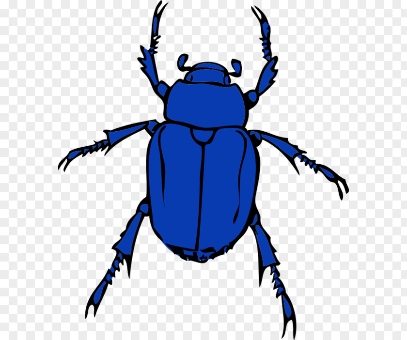 Beetle Volkswagen Clip Art Openclipart New PNG