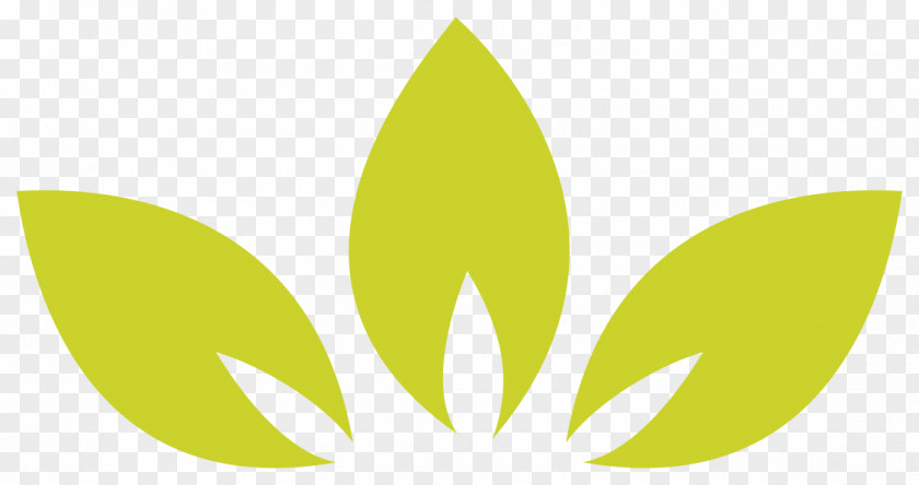 Leaf Logo Font Commodity PNG