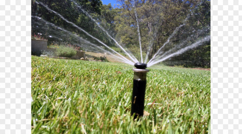 Water-sprinkling Festival Lawn Grassland Ecosystem Land Lot Energy PNG