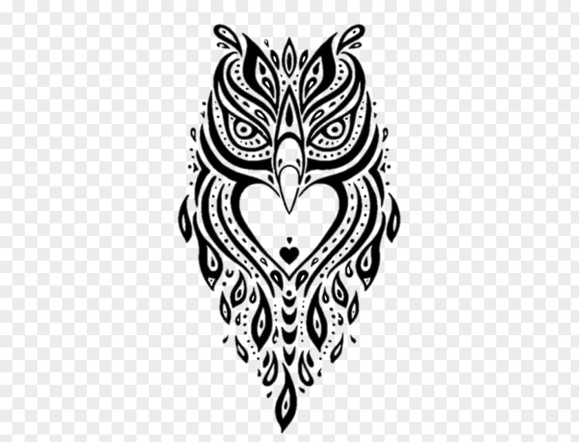 Bird Of Prey Drawing Black-and-white Visual Arts Line Art Owl PNG