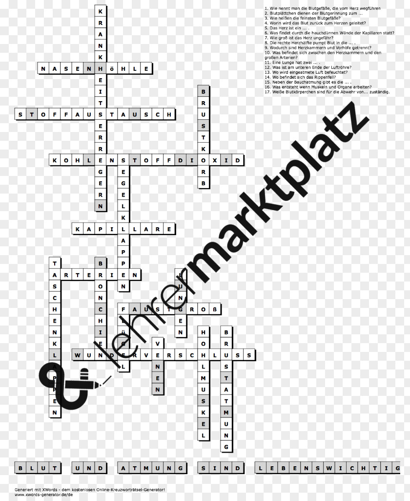 Blut Riddle Solution Rebus Biology Crossword PNG