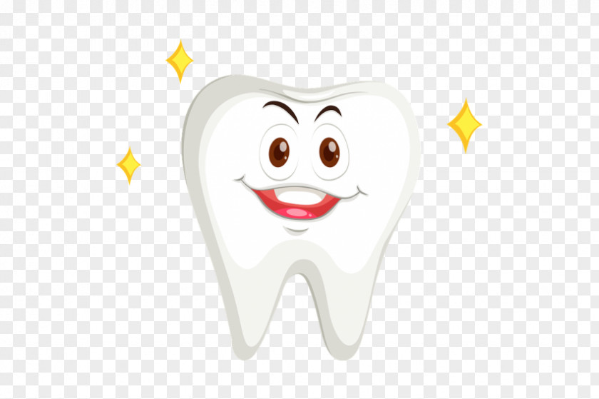 Dents Human Tooth Dentistry Health PNG