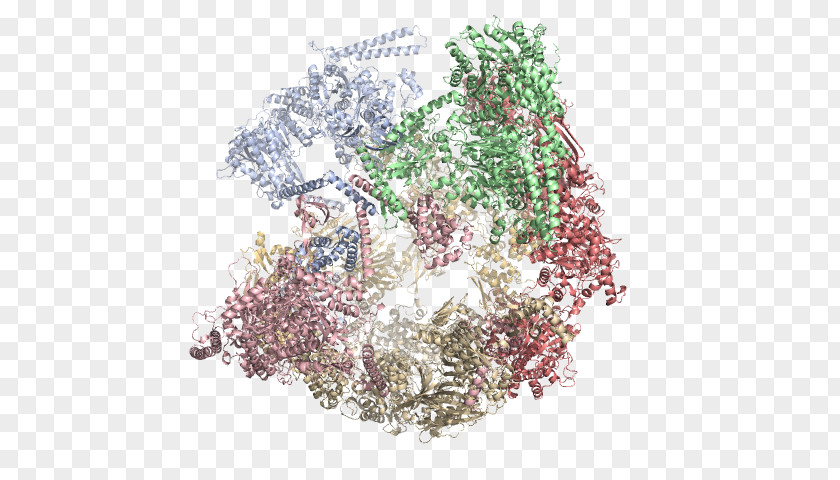 Fatty Acid Elongation Pathway Floral Design Tree PNG