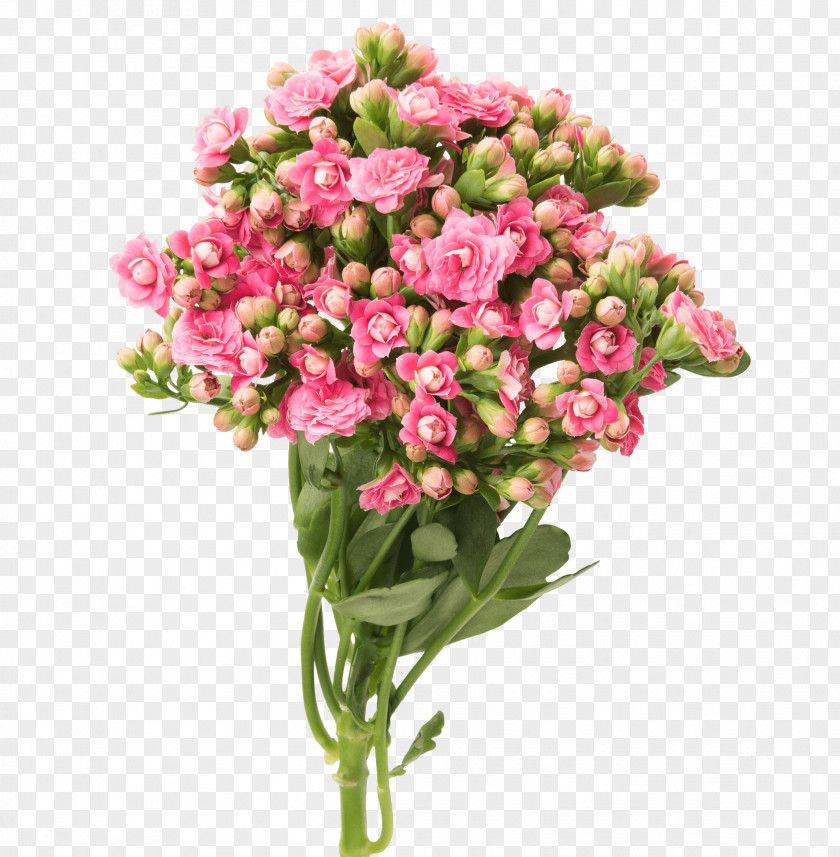 Flower Cut Flowers Floral Design Bouquet Garden Roses PNG