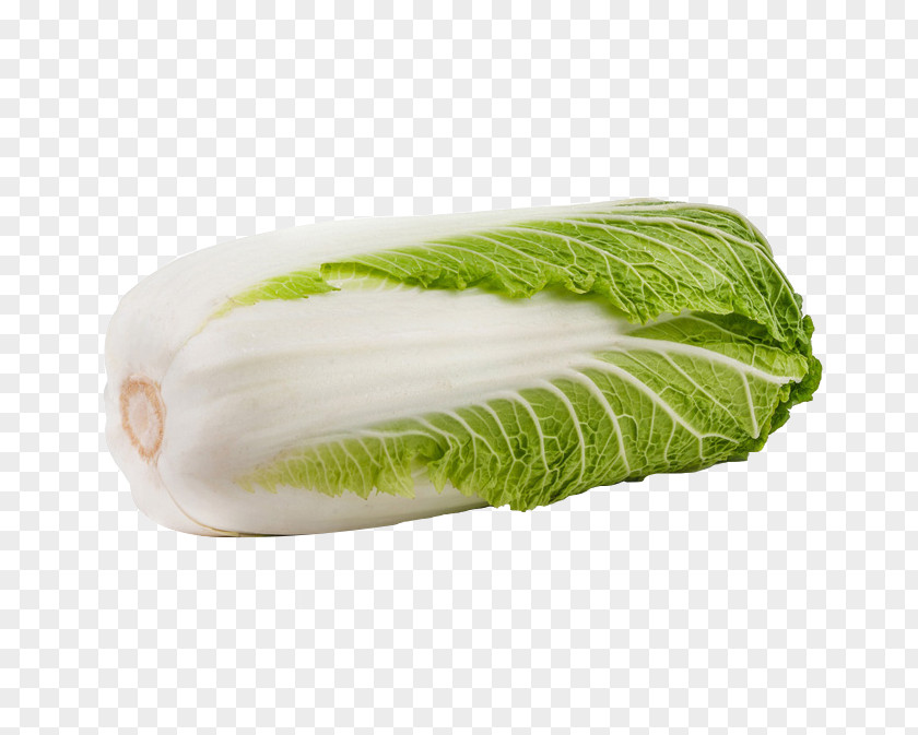 Green Cabbage Napa Vegetable Roll Chinese PNG