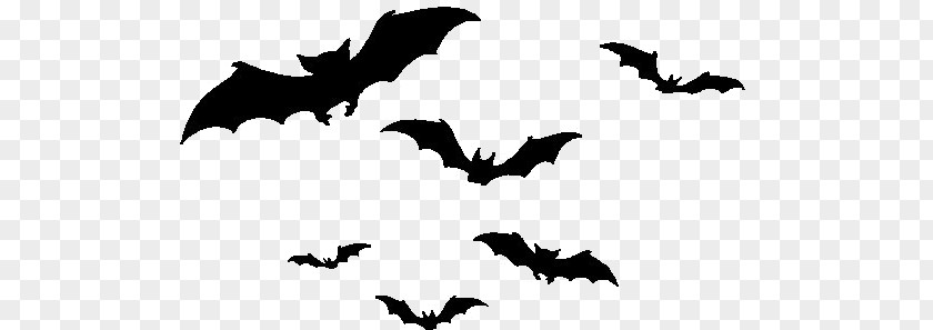 Halloween Bat Clip Art PNG